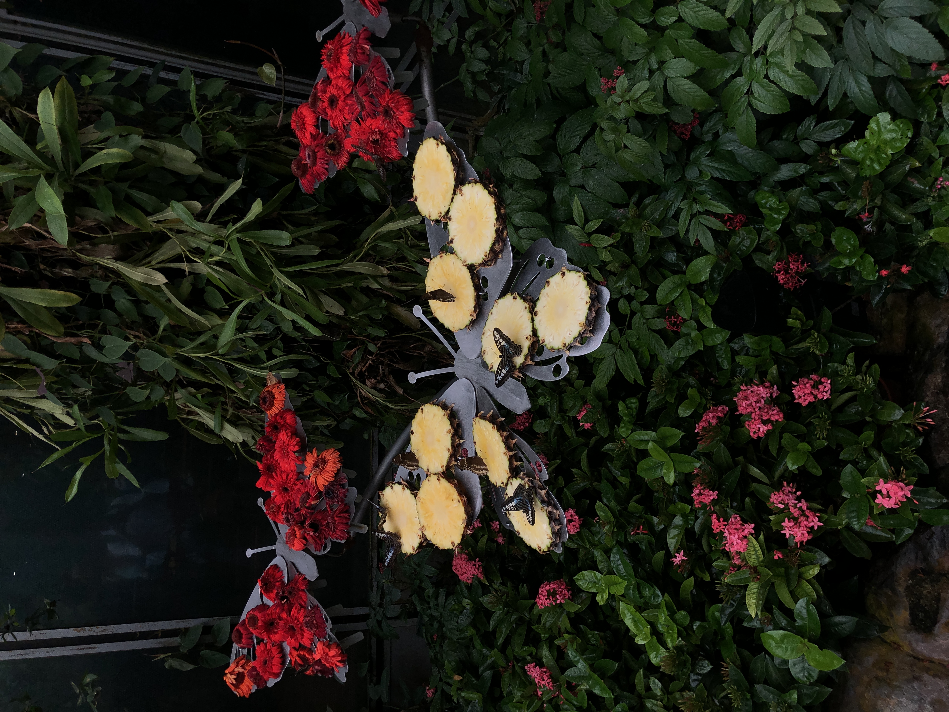Photo 46